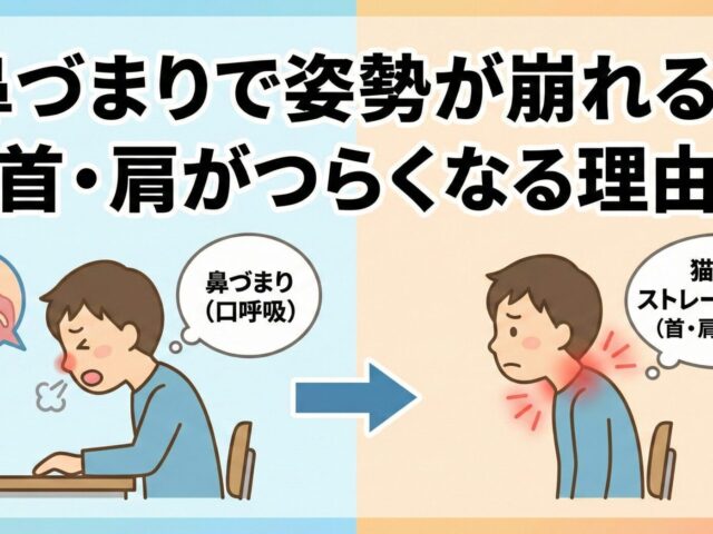 鼻づまりで姿勢が崩れる？首・肩がつらくなる理由