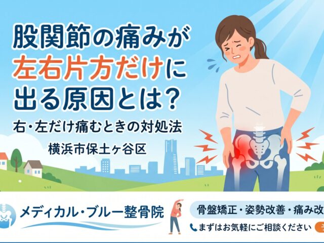 股関節の痛みが左右片方だけに出る原因とは？右・左だけ痛むときの対処法｜横浜市保土ヶ谷区 メディカル・ブルー整骨院